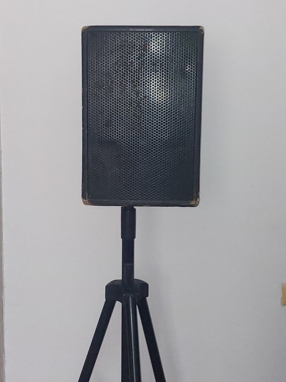 Продам колонку Dynacord AM-12